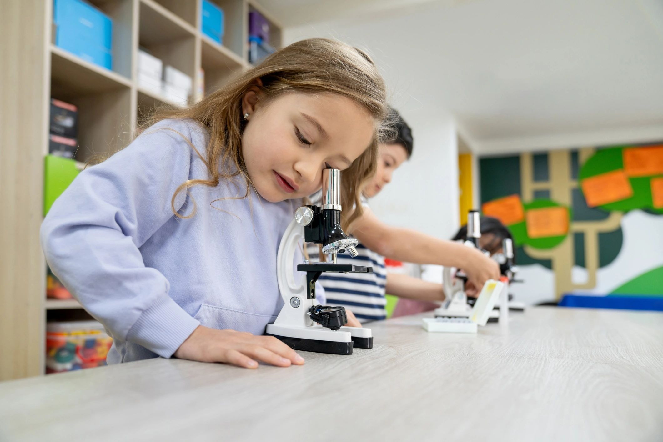 Pre-K STEAM project at Curie Preschool
